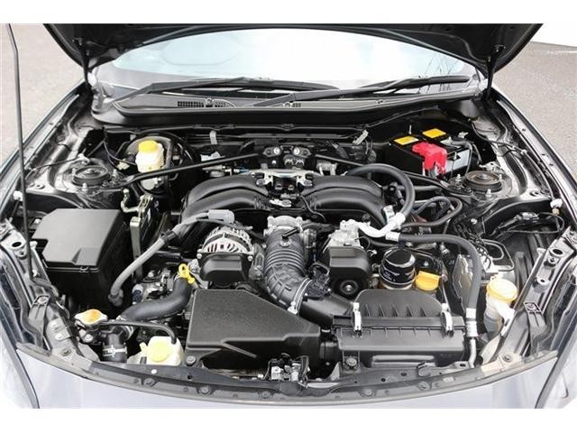25708688_carP_l_20.jpg