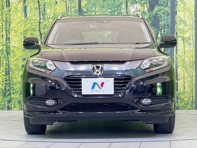 27116546_carP_l_8.jpg
