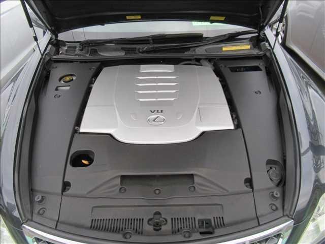 7572135_carP_l_20.jpg