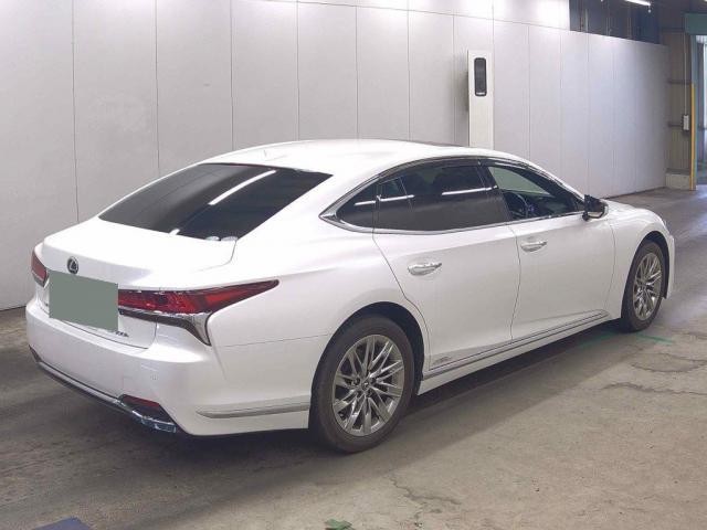 25389946_carP_l_10.jpg