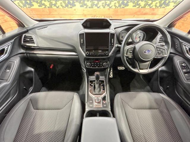 23987344_carP_l_3.jpg