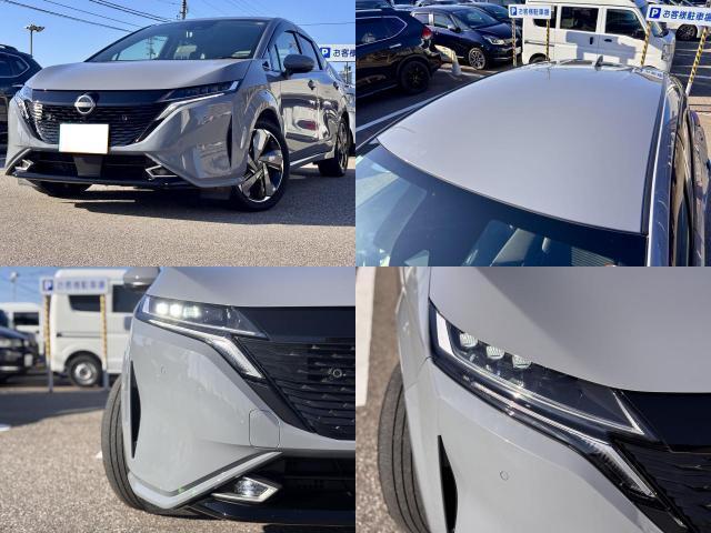 26988512_carP_l_1.jpg
