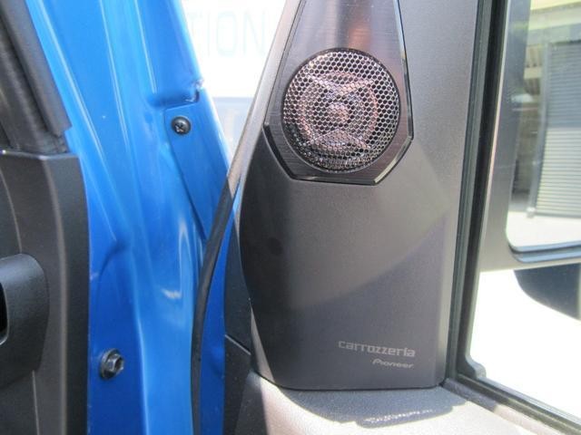 25199567_carP_l_6.jpg