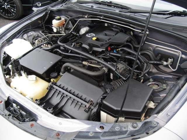 22164031_carP_l_18.jpg