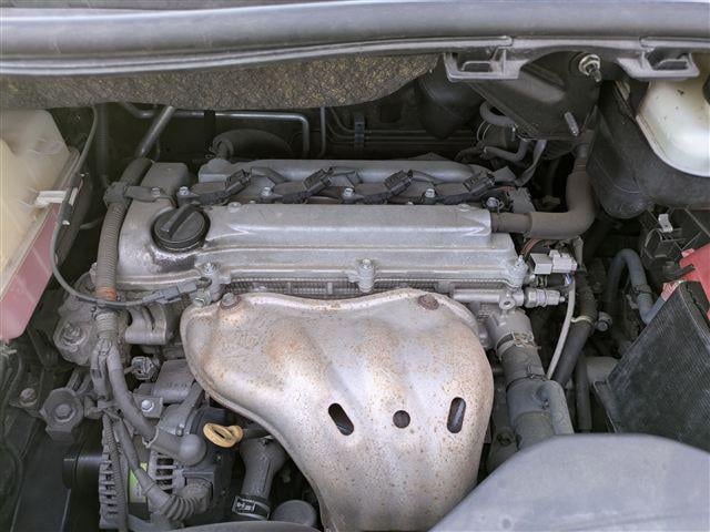 08.jpg