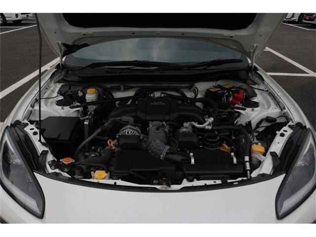 25977224_carP_l_20.jpg