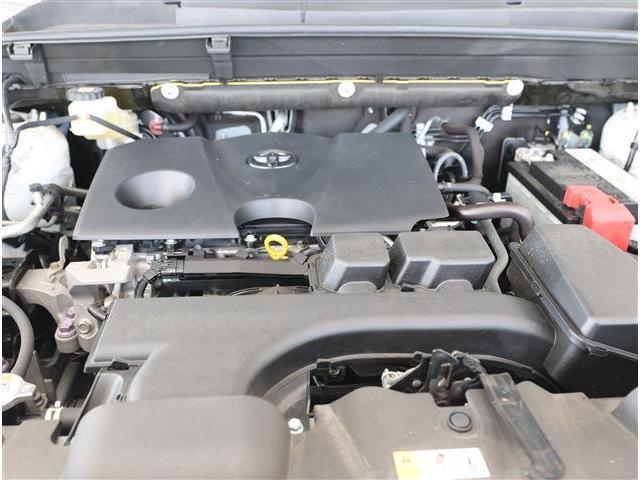 24958982_carP_l_18.jpg
