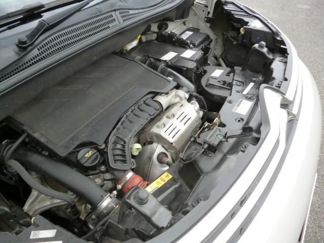 24974529_carP_l_17.jpg