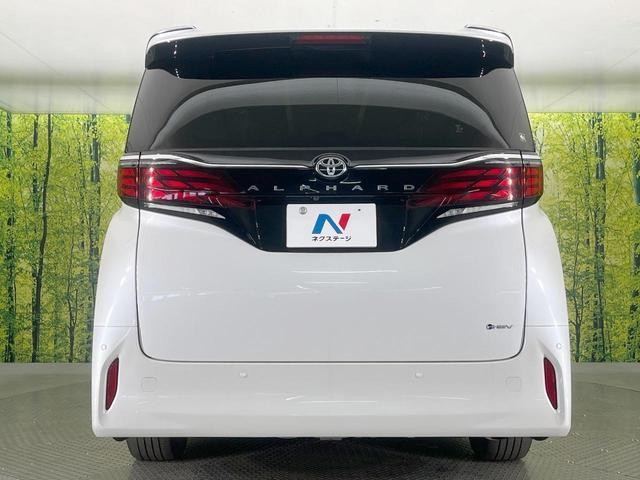 26946758_carP_l_11.jpg