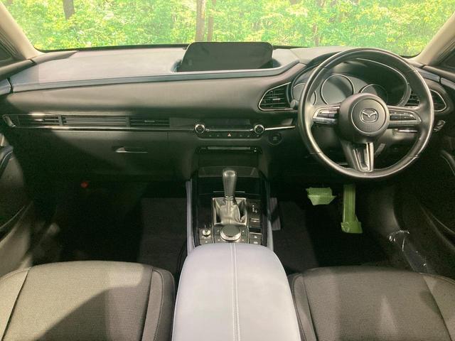 23458069_carP_l_3.jpg
