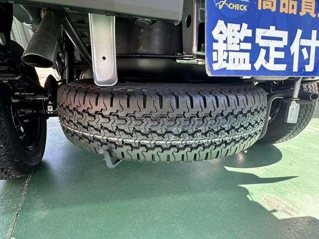 25815116_carP_l_16.jpg