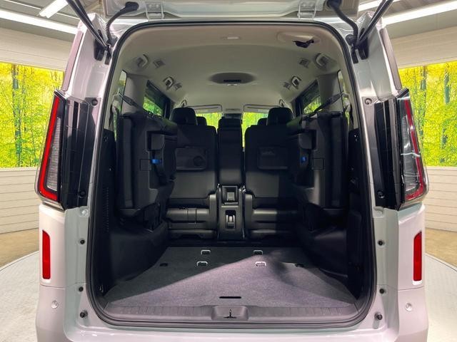 26533903_carP_l_5.jpg