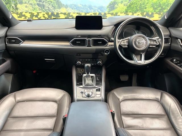 26314464_carP_l_3.jpg