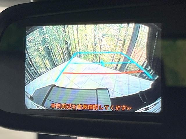 25506876_carP_l_15.jpg