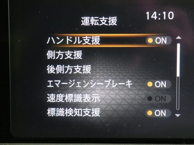 25256628_carP_l_10.jpg
