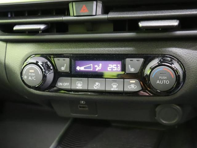 25256628_carP_l_17.jpg