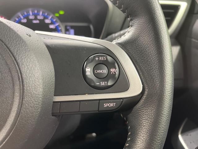 26623574_carP_l_14.jpg