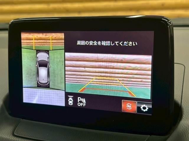 25256651_carP_l_10.jpg