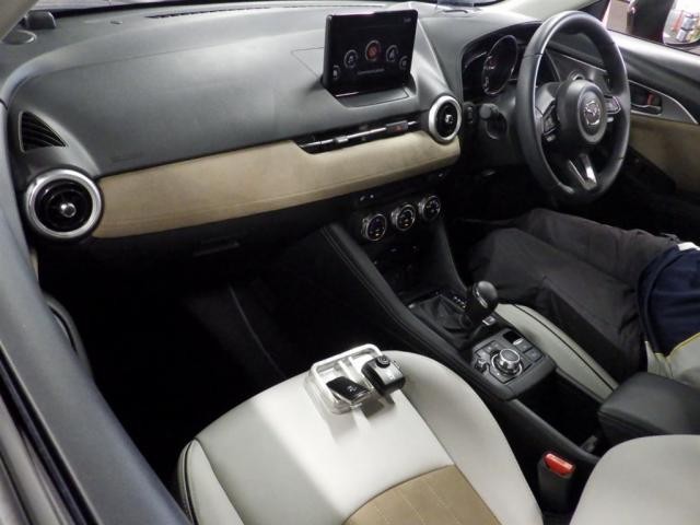 25708767_carP_l_15.jpg