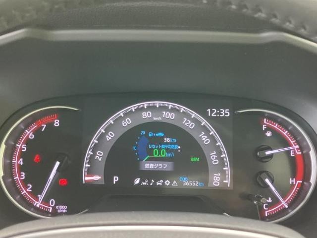 25041158_carP_l_7.jpg