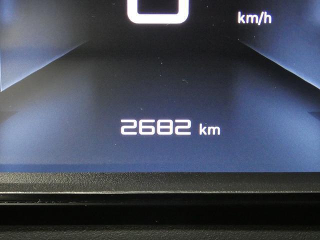 24953860_carP_l_10.jpg