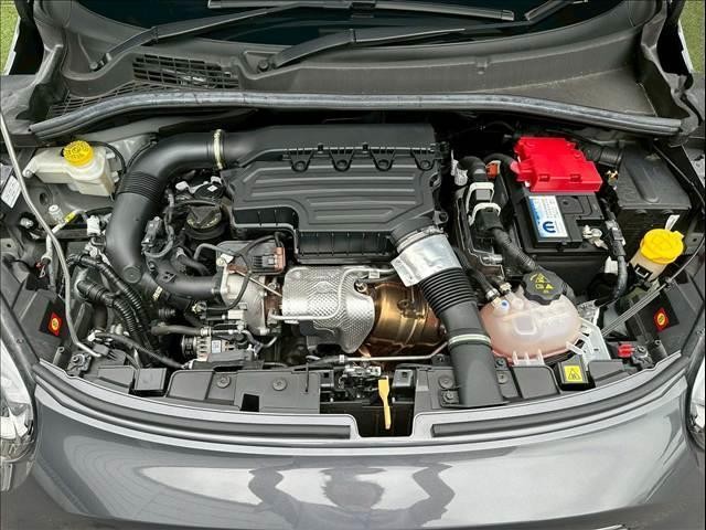 24435542_carP_l_6.jpg