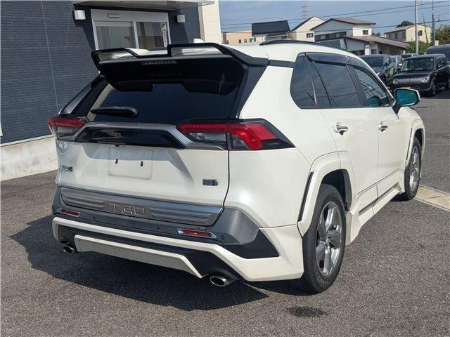 25533182_carP_l_13.jpg