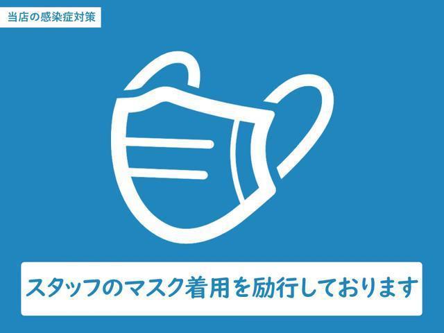 24299706_carP_l_6.jpg