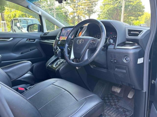 23668889_carP_l_1.jpg