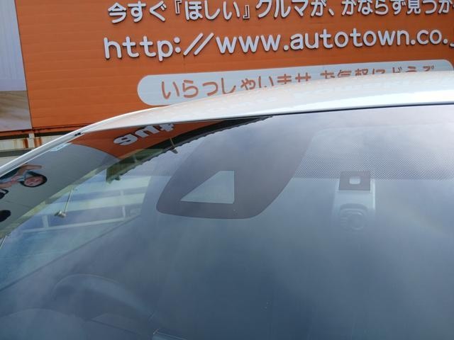25978226_carP_l_10.jpg