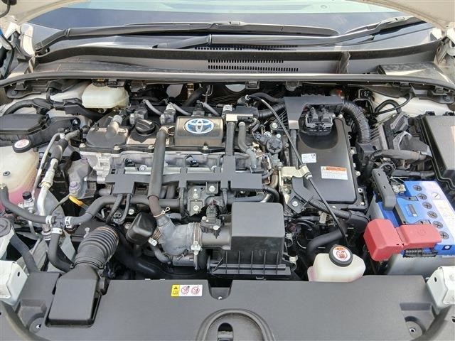 25978226_carP_l_20.jpg
