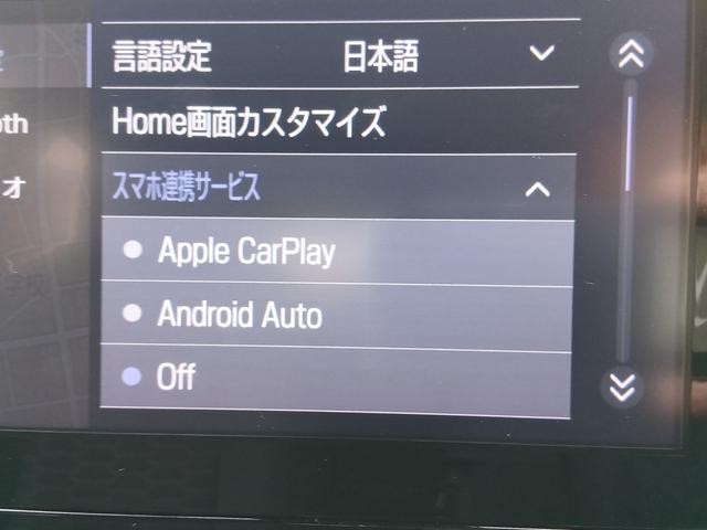 25978226_carP_l_8.jpg