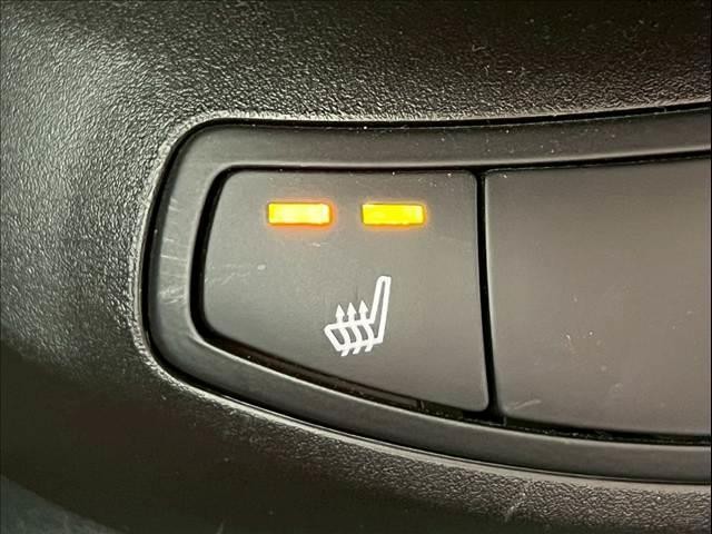 24680040_carP_l_17.jpg