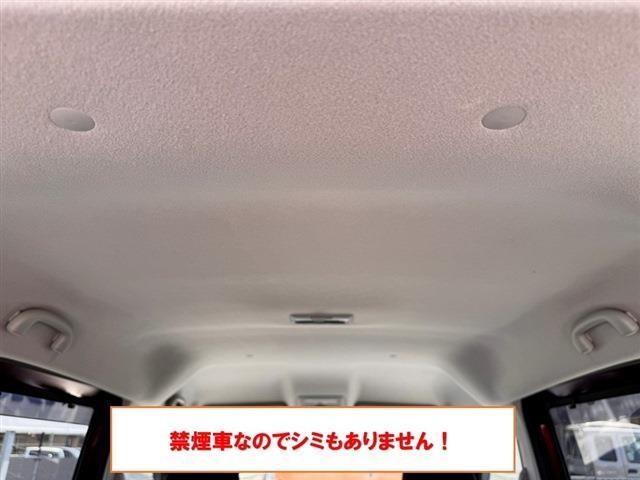 25390010_carP_l_2.jpg
