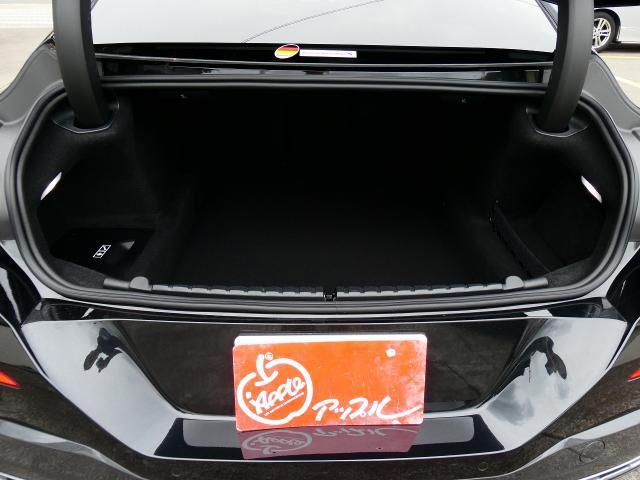 25020595_carP_l_18.jpg