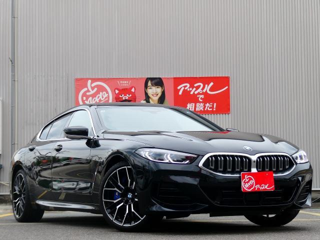 25020595_carP_l_6.jpg