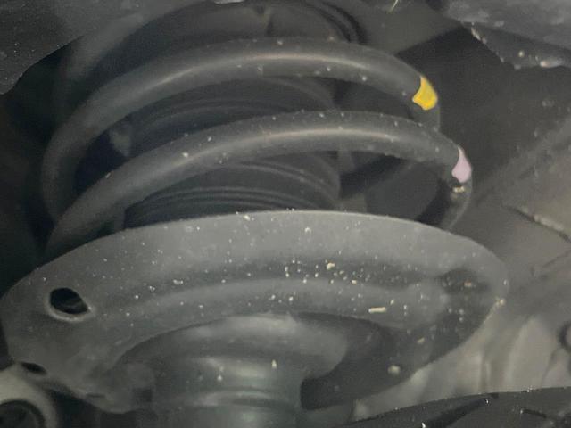 24705952_carP_l_16.jpg
