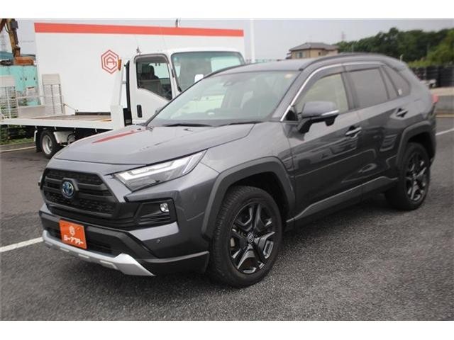 25247272_carP_l_19.jpg