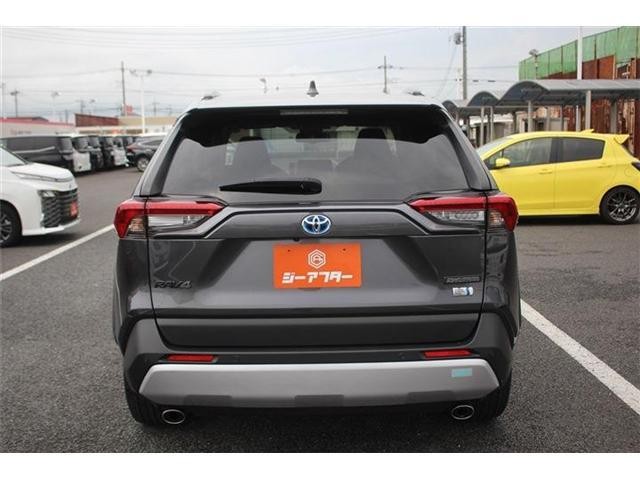 25247272_carP_l_6.jpg