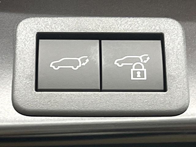 26468559_carP_l_13.jpg