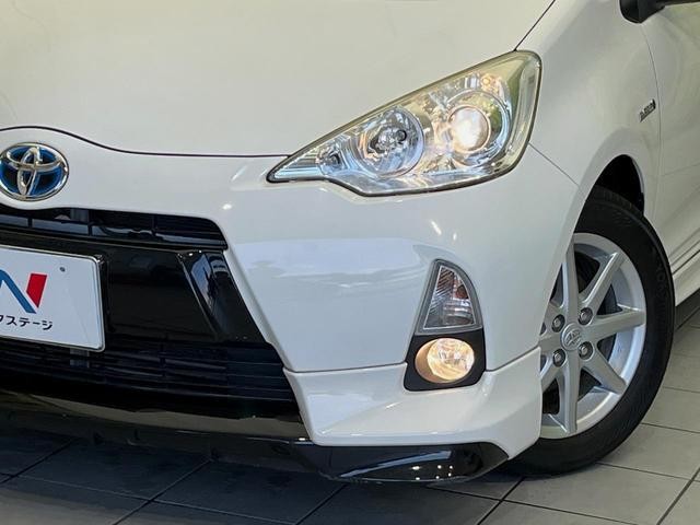 25982623_carP_l_6.jpg