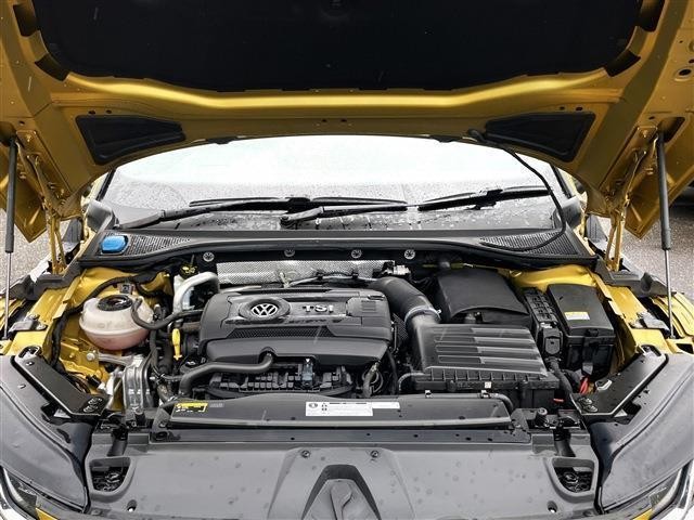 25983727_carP_l_17.jpg
