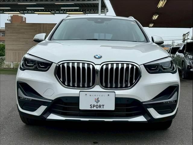 24741230_carP_l_7.jpg