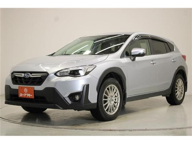 23669094_carP_l_19.jpg