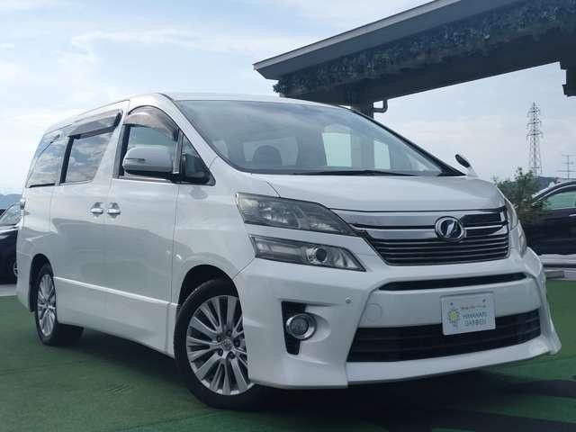 26145862_carP_l_15.jpg