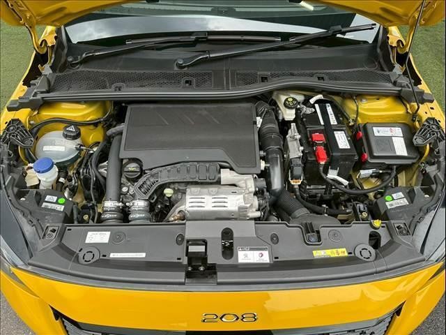 24823062_carP_l_6.jpg