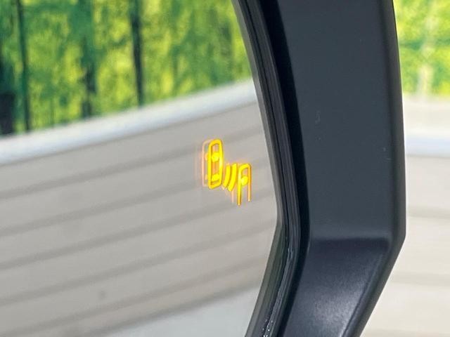 26751071_carP_l_13.jpg