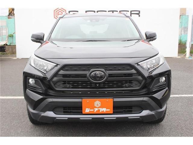 23669098_carP_l_3.jpg