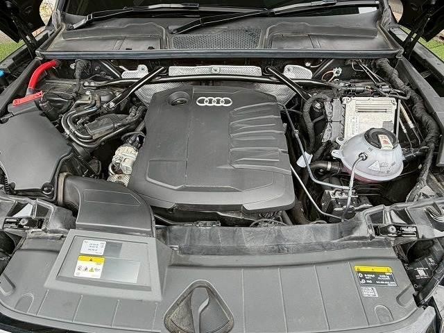 25009418_carP_l_8.jpg