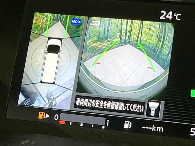 27094543_carP_l_10.jpg